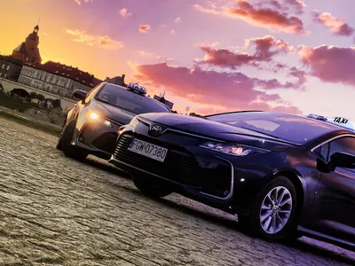 BitBus | REKOMENDOWANY Partner Bolt & Free Now & Uber | Auta zastępcze TAXI